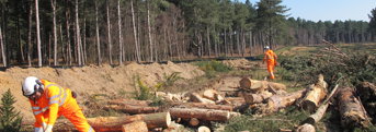 Biodiversity HibernacularConstructionMenatWork