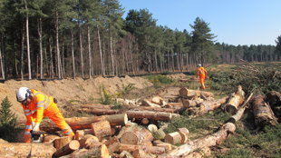 Biodiversity HibernacularConstructionMenatWork