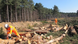 Biodiversity HibernacularConstructionMenatWork