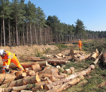 Biodiversity HibernacularConstructionMenatWork