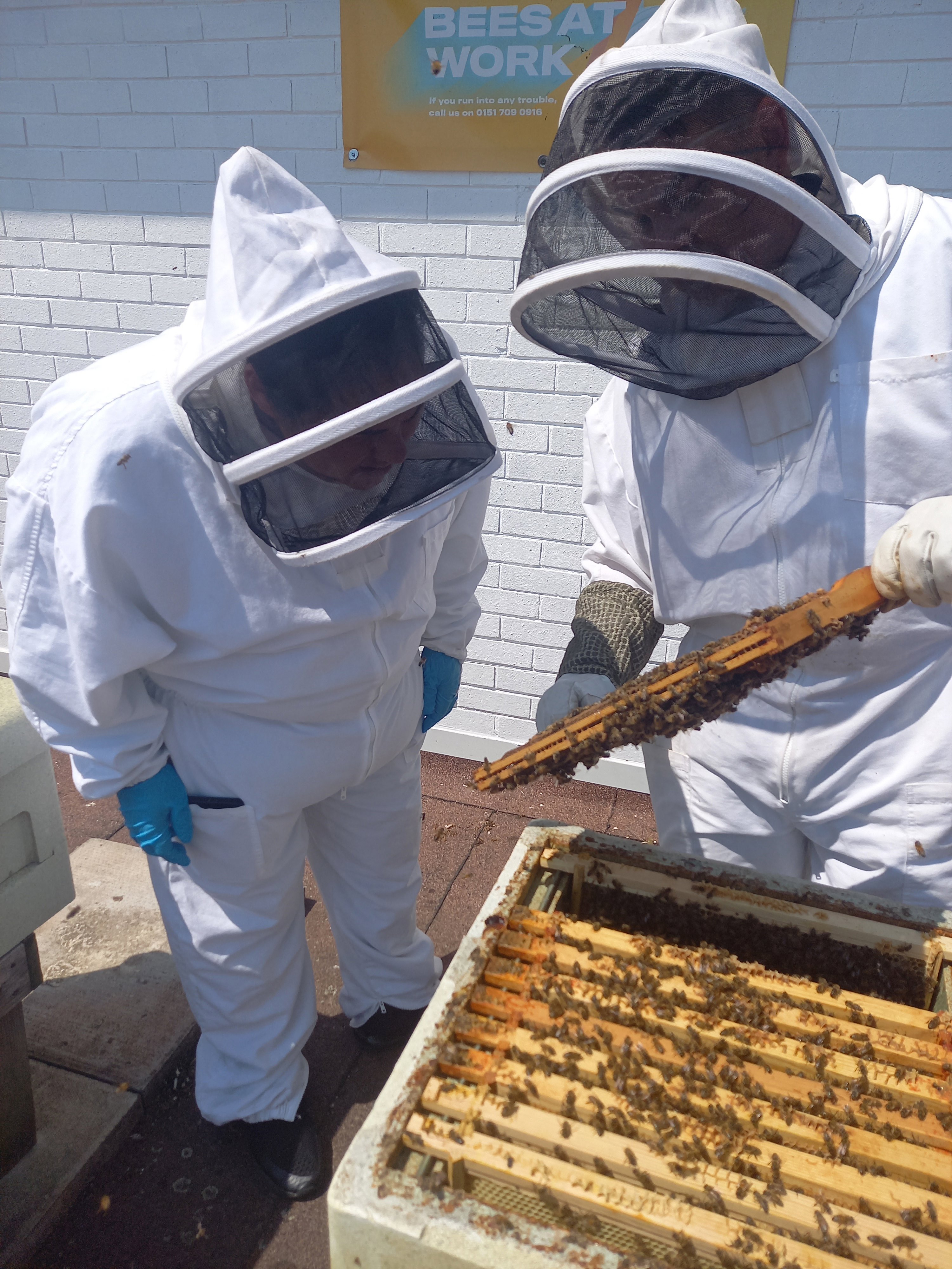 st johns shopping centre liverpool bee keepers