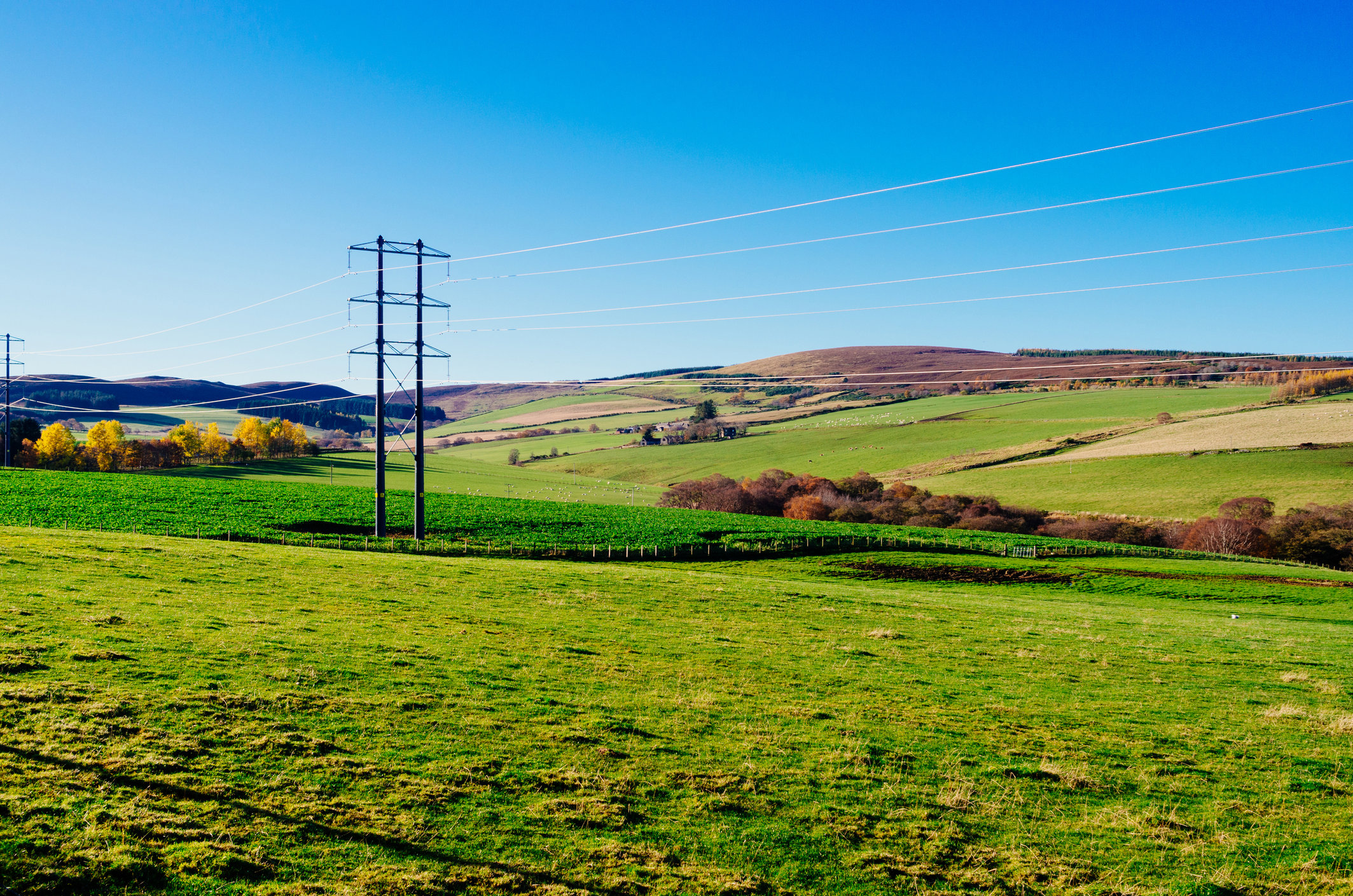 iStock-1284282844