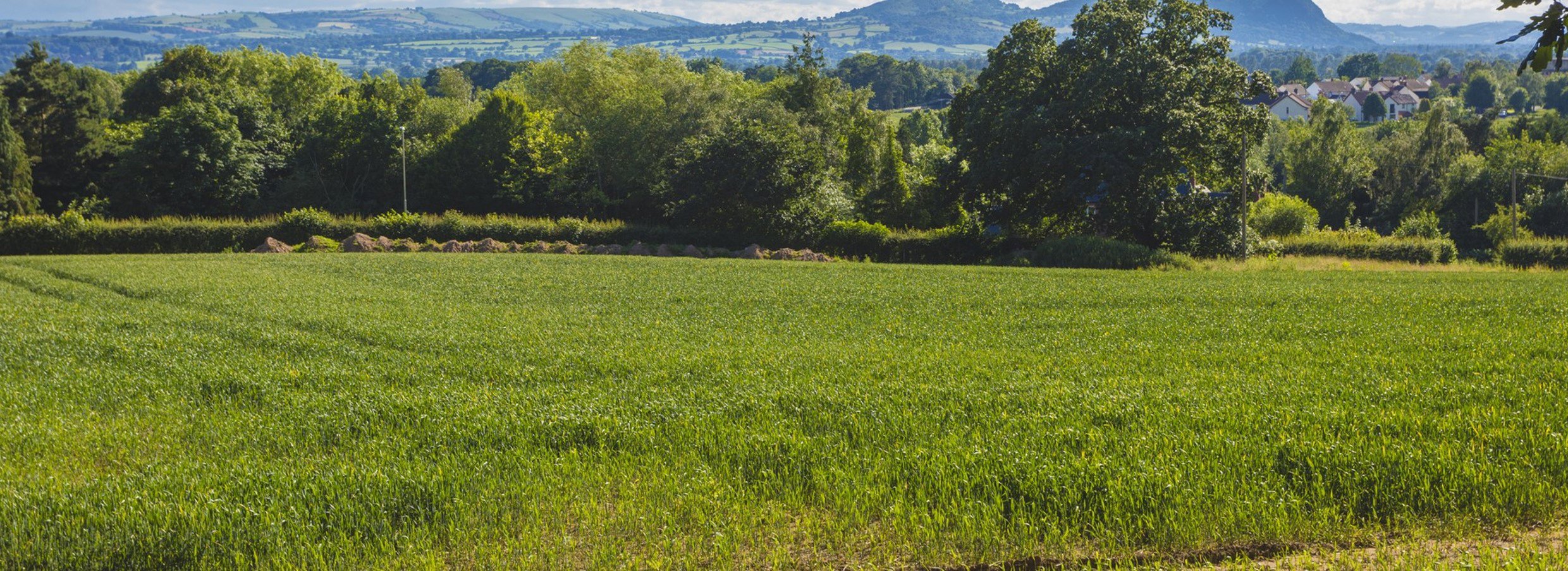 North Shropshire reinforcement