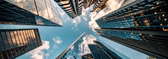 News - Procure Partnerships