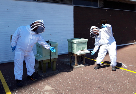 St John’s Shopping Centre in Liverpool bees