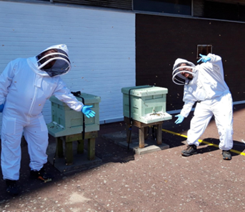 St John’s Shopping Centre in Liverpool bees