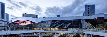 Birmingham New Street Station