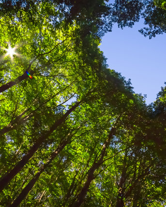 iStock-protecting our planet